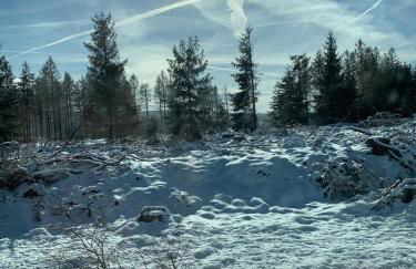 Ferienhaus Dornröschen - Foto 38