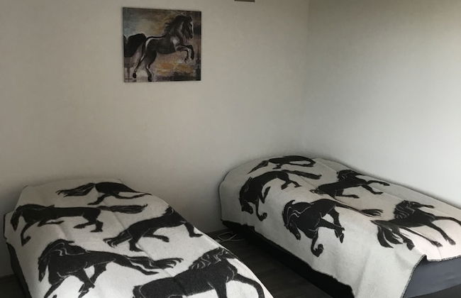 Sólvangur Farm, Icelandic Horse Center - Photo 2