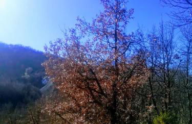 Agriturismo Malvista - Foto 32