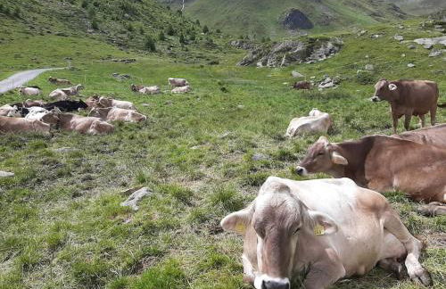 Attico da Jenny - Foto 26