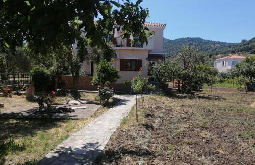 Vassilis Studios - Foto 49