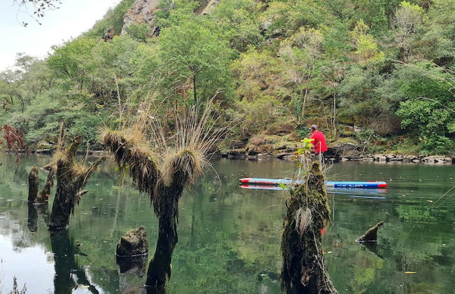 El Bosque de las Viñas - Foto 57