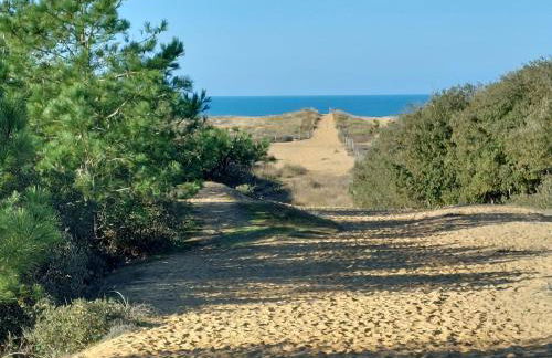 Gîte la Salicorne - Foto 30
