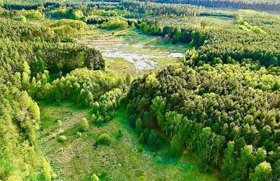 Dobrostan Domek w Naturze - Foto 56