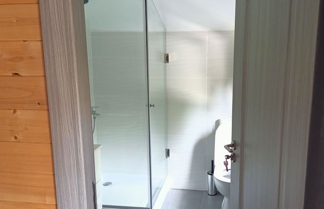 ART House Transylvania Sibiu - Foto 13