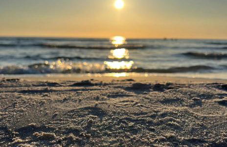 Helles Apartment über den Dächern Rostocks - Foto 18