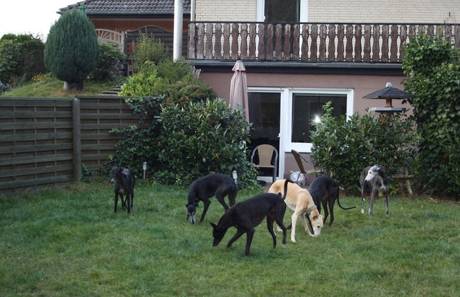 Garden-view Apartment in Heringhausen Lake City Centre - Photo 36