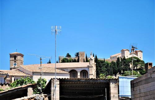 Cas Carter - Foto 23