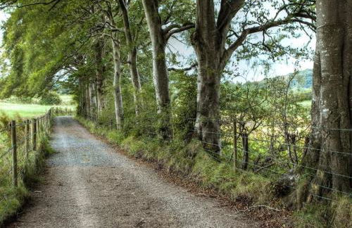 Ballylagan Organic Farm - Foto 26