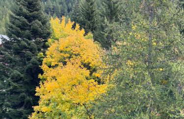 Les Terrasses de Labrau - Foto 34