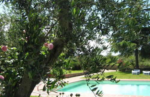 Agriturismo Poderino - Foto 14