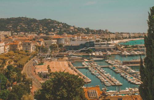 Cannes Breeze - Photo 17