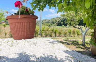 Il Leccio Agriturismo - Foto 18