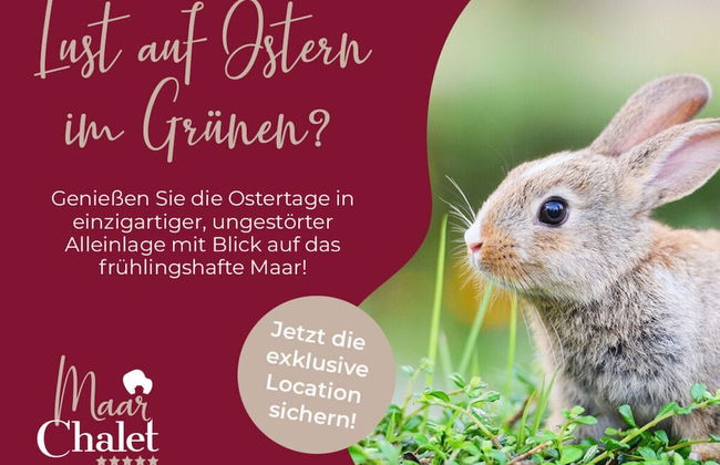 Maarchalet Modern Retreat - Photo 20