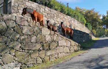 Casa de Férias do Parque da Peneda Gerês - Foto 42