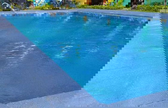 Caribbean Blue Morpho - Foto 18