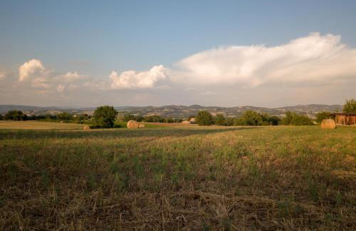 Agriturismo Consalvi - Foto 11