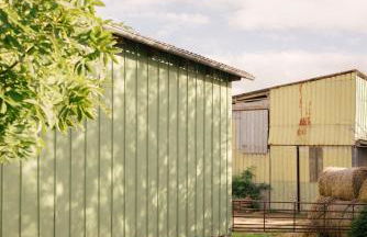 FEWO auf dem Lande / nahe SPO - Foto 53