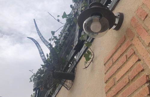 Casa Rural Atelier - Jardin y terraza - Foto 32