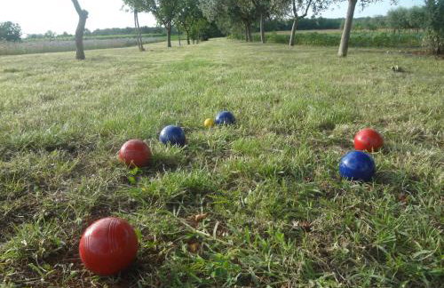 Apartments Ždravac - Photo 10