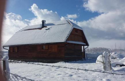 Kuća za odmor Balenović - Photo 12