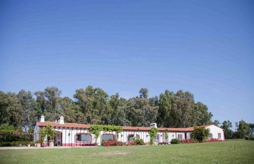 Stunning mansion in São Cristóvão - Photo 16