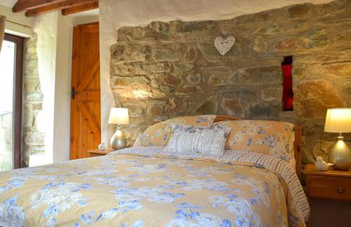 Old Chapel Cottage - Dinas Country Club - Foto 7