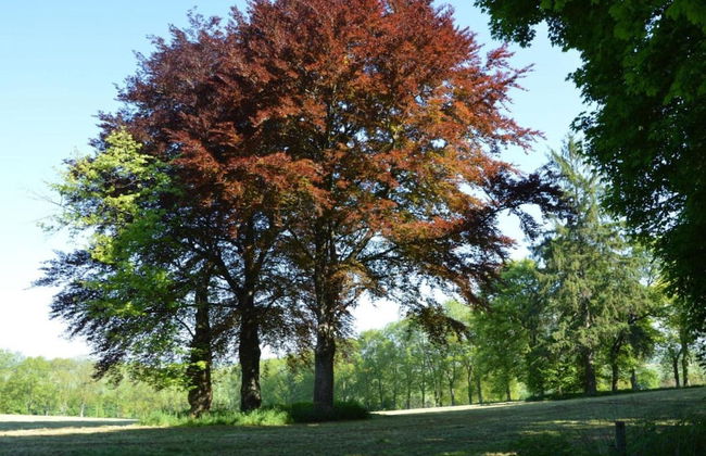 Terrace Apartment, Trois-ponts - Foto 32