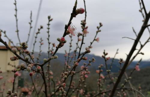 Casa Rural el Enebral en Potes Picos de Euopa - Foto 51