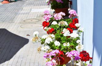 Villino La Perla Azzurra- Marina di Pisa - Foto 5