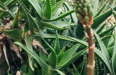 Allin home - Foto 45