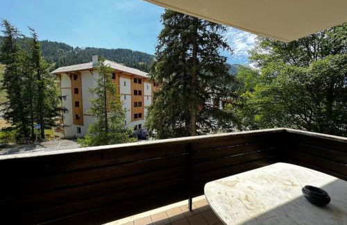 Appartement T3 Pra Loup 1600 - Foto 8