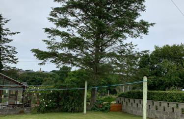 8 Thoms Street - Foto 17