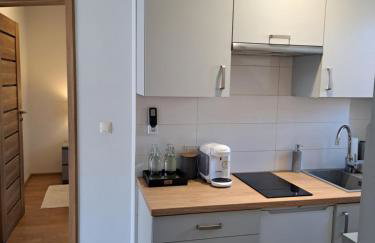 APARTAMENTY TUŹNIKOWIE - Foto 47