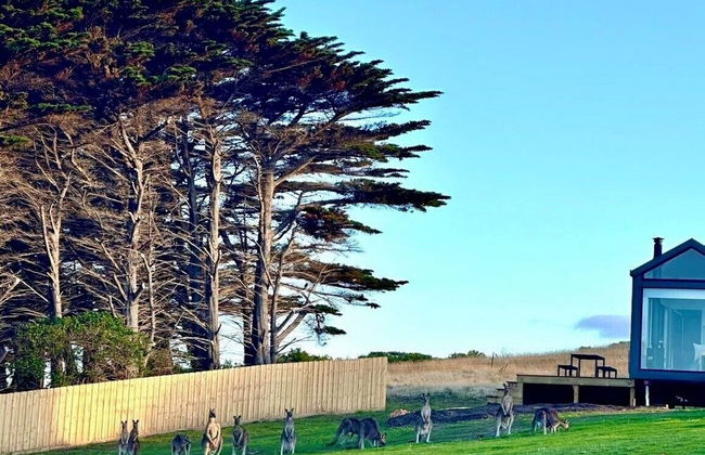 Swell At Cape Bridgewater - Foto 48