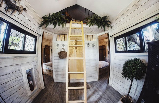 Quinta Pavo Real Complex by Acomodo - Photo 51