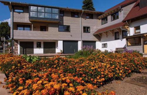 Saunaloft Schwarzwald - Foto 27