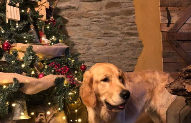 Chalet in Hardigny Near Ski Slopes - Photo 32