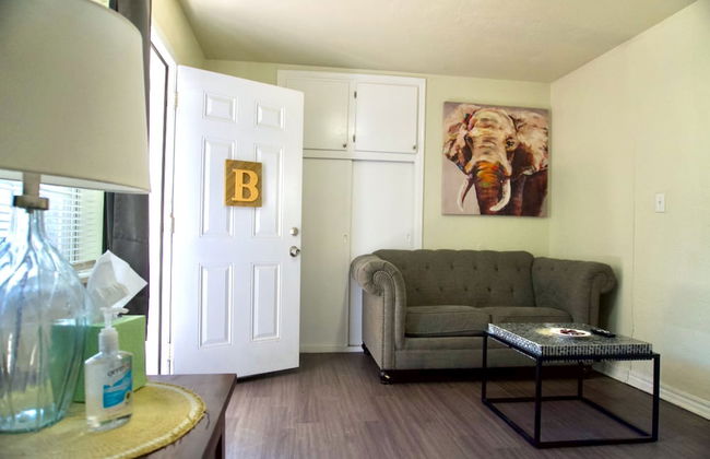 Cozy Home- Zoos Museums Fun Step From Your Door - Photo 8