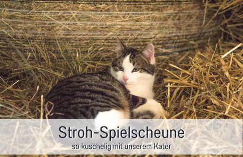 Bio Ferienhof Wichtelweide - Fewo Lavendel - Foto 32