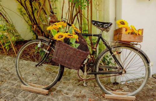 Quinta O Refúgio - Foto 12