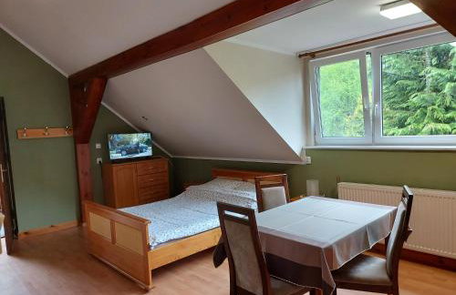 Agroturystyka Pod Klonem - Foto 54