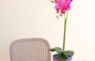 Etheria Comfort House - Photo 15