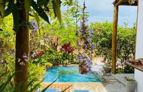 Casa Pitanga - Foto 1