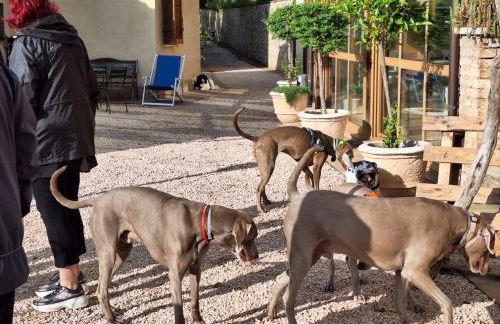 SetterHouseAgriHotel - Photo 46