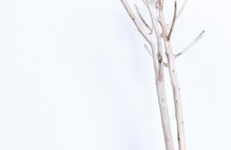 OakNest NatureLodge - Sirintina - Foto 25