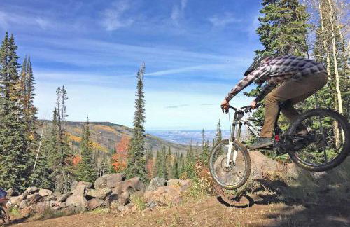 Ski and Ride Mountain Haus - Hot Tub, Fire Pit, Game Room & Deck - Foto 73