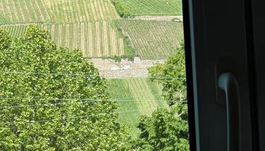 Design am Rhein I Traumlage Rheinufer I 3BR I Küche I öffentl Parkplätze I helloYOU apartments x BRIGHT Collection - Foto 4