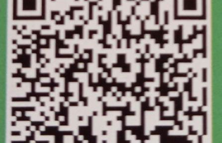 Your Porto Home Lake Mountain - Photo 2