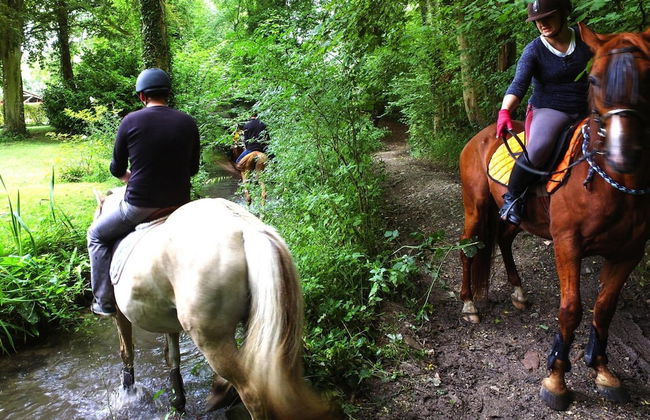 Apartment in Forges les Eaux With Garden - Foto 14